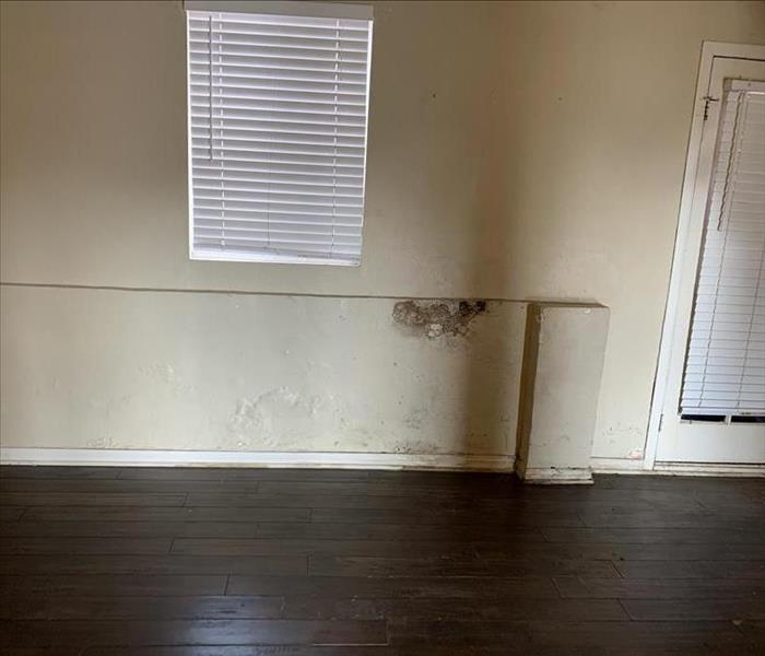 Water & mold damage to wall.