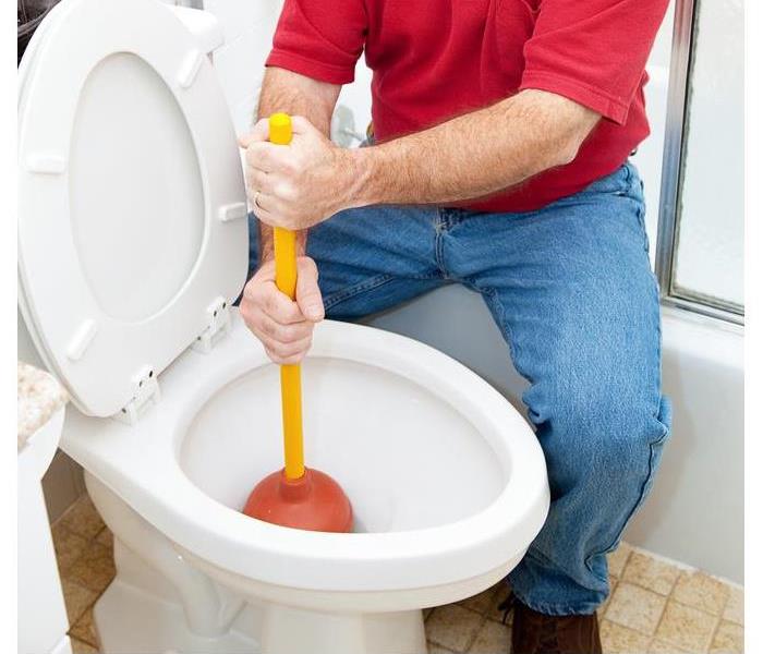 Person unclogging a toilet